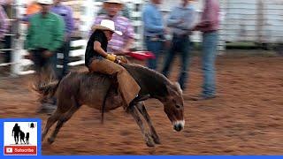 Donkey Riding  2021 Saints Roost Ranch Rodeo  Saturday