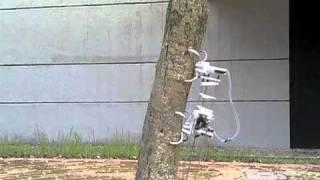 Tree-climbing robot