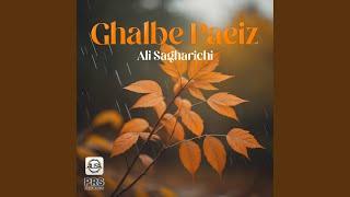 Ghalbe Paeiz