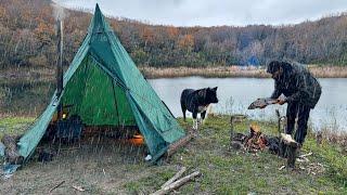 3 DAYS solo survival Caught in a STORM with My Dog. FISH Catch and Cook. BUSHCRAFT Winter CAMPING