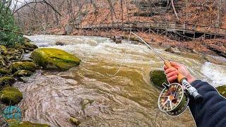 Streamer Fishing High Water for Brown Trout Fly Fishing Tips