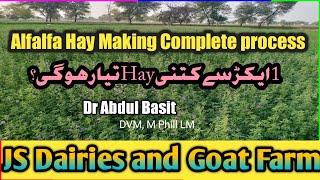 How to Make Hay  Alfalfa Lucerne Hay  Feasibility  مکمل طریقہ اور ایک ایکڑ سے خشک لوسن کتنا ہوگا؟