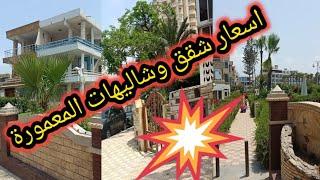 اسعار شقق وشاليهات في المعمورة الإسكندريةالاسكندريه الآن #مصر #الاردن #العراق #الآن #عاجل