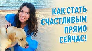 Как стать счастливым прямо сейчас