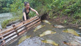 Girl Catching fish and trapping many fish during heavy rain in a natural flood stream.-fishing