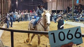 The BIGGEST Horse Auction In The State Will We Be Able to Save Any?