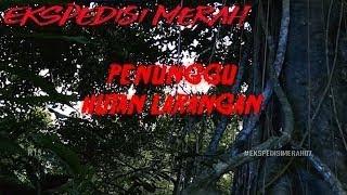 PENUNGGU HUTAN LARANGAN • EKSPEDISI MERAH 02 DESEMBER 2017