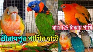 Serampore pakhir haatExotic Birds Price UpdateSerampore Bird MarketBirds