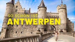 Belgische Fritten & eine wunderschöne Altstadt - das ist Antwerpen Vanlife in Belgien  VLOG #84