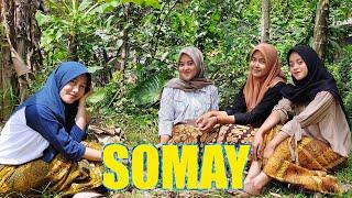 Jalan Sore Jajan Somay Nemu Nanas Di Kebun  Keseharian Gadis Desa