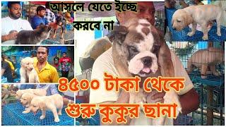 শুধু মাত্র ৪৫০০ টাকা তে কুকুর ছানা galiff Street dog market in kolkata DOG market in kolkata