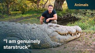 Meet Henry the worlds oldest crocodile  Killer Crocs with Steve Backshall