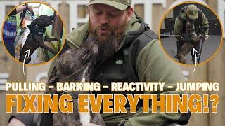 How To FIX Reactivity & Pulling & Jumping & Barking With Your Dog