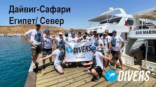 Дайвинг-Сафари по Северу красного моряЕгипет06-13.05.2021DIVERS.UA