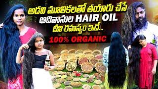 అడవి మూలికలతో ఆదివాసి హెయిర్ ఆయిల్  Adivasi Hair Oil  Sri Maharshi Adivasi Hair Oil  Qube TV