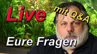 LIVE - mit Q&A #548 - Deine Fragen an den Aquarium-Profi - Stelle dein Aquarium live vor