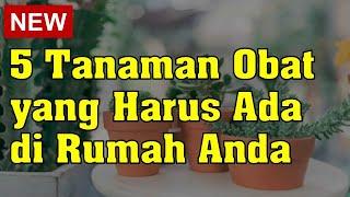 5 Tanaman Obat yang Harus Ada di Rumah Anda