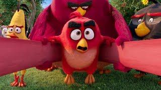 Это будет больно - Angry Birds отрывок из фильма