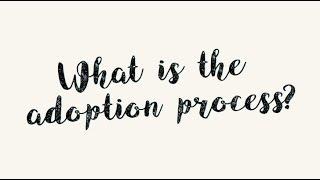 Our Adoption Journey The Domestic Adoption Process