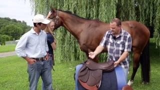 How to do a proper Saddle Fitting for you and your horse