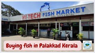 How seafood is sold in Palakkad Kerala #fish #crab #prawns #squid #fishing