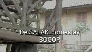 Penginapan Murah Meriah Di Tengah Sawah  De Salak Homestay  Bogor