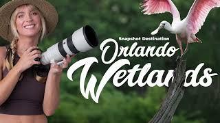 ORLANDO WETLANDS BIRD PHOTOGRAPHY Sony A7 IV 70-200mm 2.8 GM OSS II