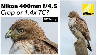 Nikon Z 400mm f4.5 - Crop or use the 1.4x Teleconverter?