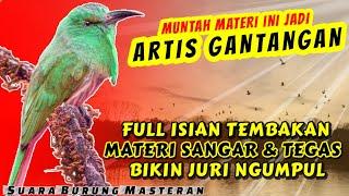 MATERI SANGAR DAN TEGAS MASTERAN SUARA BURUNG FULL ISIAN TEMBAKAN - JADI ARTIS GANTANGAN