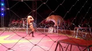 SPECTACULAR CIRCO MIAMI rugido TIGRE shere.khan 2.MPG