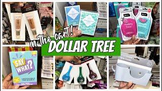 DOLLAR TREE FINDS  WHATS NEW AT DOLLAR TREE  DOLLAR TREE COME WITH ME  DOLLAR TREE