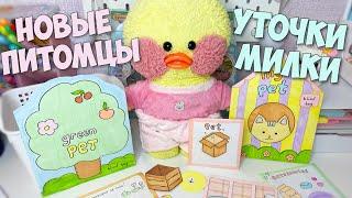 NEW PETS for MILKA the duck