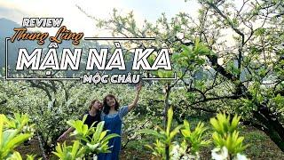 Review Thung Lũng Mận Nà Ka Mộc Châu Sơn La