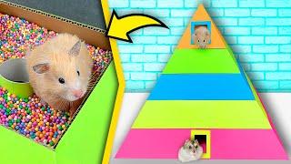 Hamsters in 5-Level Pyramid Maze  Rainbow maze for hamsters