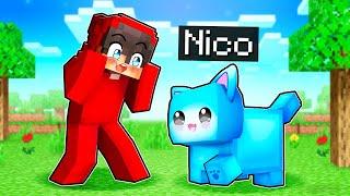 Nico Is Cash’s Cat In Minecraft