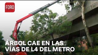 Lluvia en CDMX derriba árbol sobre vías de línea 4 del metro VIDEO - Las Noticias