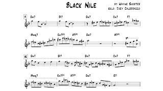 Joey Calderazzos solo transcription of Black Nile - The Traveler