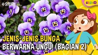 Top 16 Jenis Bunga Berwarna Ungu yang Cocok untuk Menghiasi Taman di Rumah