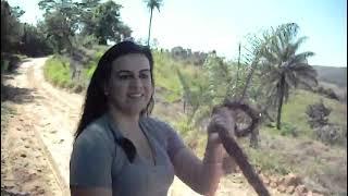 Gorgeous Woman Riding Horse