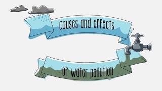Causes and effects of water pollution - Sustainability  ACCIONA