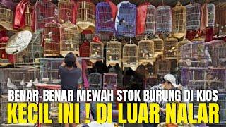 DI LUAR NALAR  BETUL2 MEWAH STOK BURUNG DI KIOS KECIL INI  GACOR2 PANTES DI CARI BANYAK ORANG