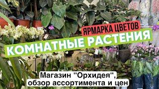 Ярмарка цветов. Магазин Орхидея. Комнатные растения