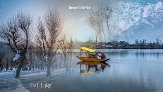 Winter Wonder - Jammu and Kashmir