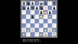 Chess Puzzle EP028 #chessendgame #chessendgames #chesstips #chess #Chesspuzzle #chesstactics