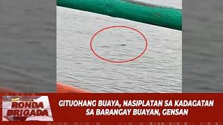 Gituohang buaya nasiplatan sa kadagatan sa Barangay Buayan GenSan