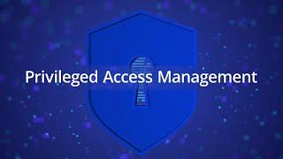 Privileged Access Management PAM with Netwrix Solutions