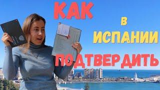 Как подтвердить образование в Испании школа и университет. Мой опыт в Малаге