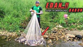 orang Taiwan tidak ada yang tau ternyata di sungai jadi sarang ikan nila babon ‼️net fishing