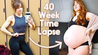 Adorable Pregnancy Time Lapse - Incredible Week by Week Transformation third pregnancy