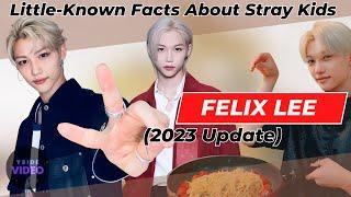 Little-Known Facts About STRAY KIDS Felix Lee 2023 Update